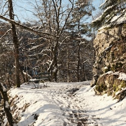 Winterlandschaft