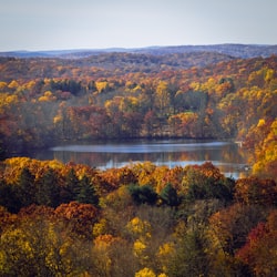 Herbstlandschaft